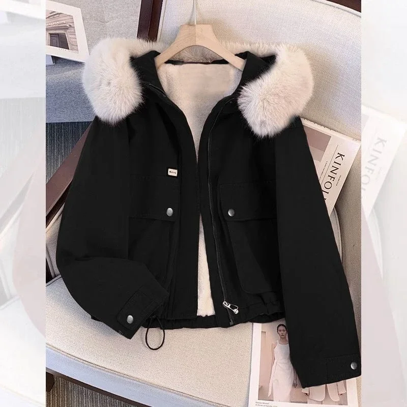 سترة صوف سميكة قصيرة ملابس قطنية فضفاضة كورية شتوية جديدة #2