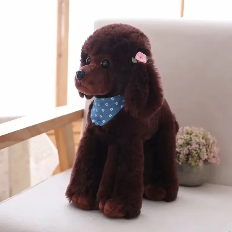 브라운