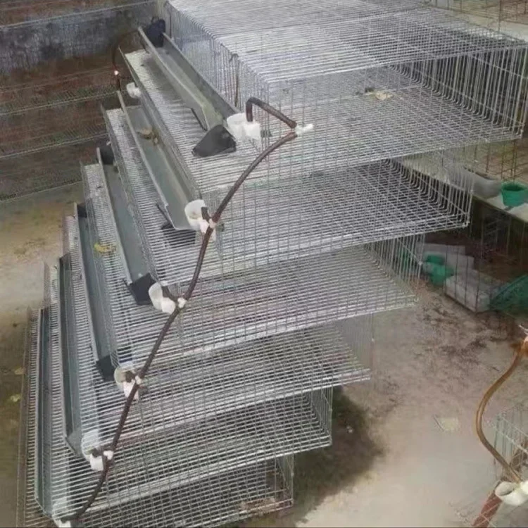 Imagem -03 - Galvanizado Wire Mesh Chicken Cage Aves Quail Battery