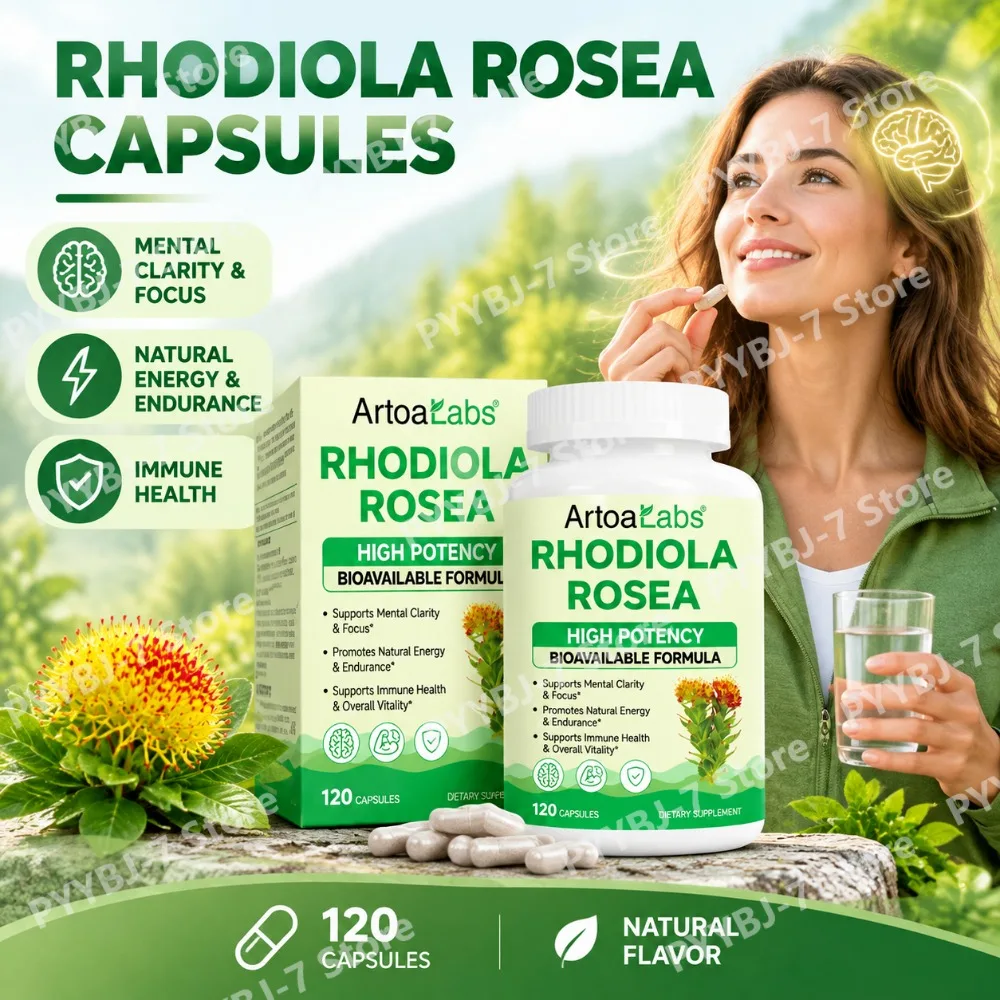 Rhodiola Rosea Extract Capsules 500mg with Salidrosides Rosavins for Mental Clarity Focus Energy Stress & Mood Balance 120 Count
