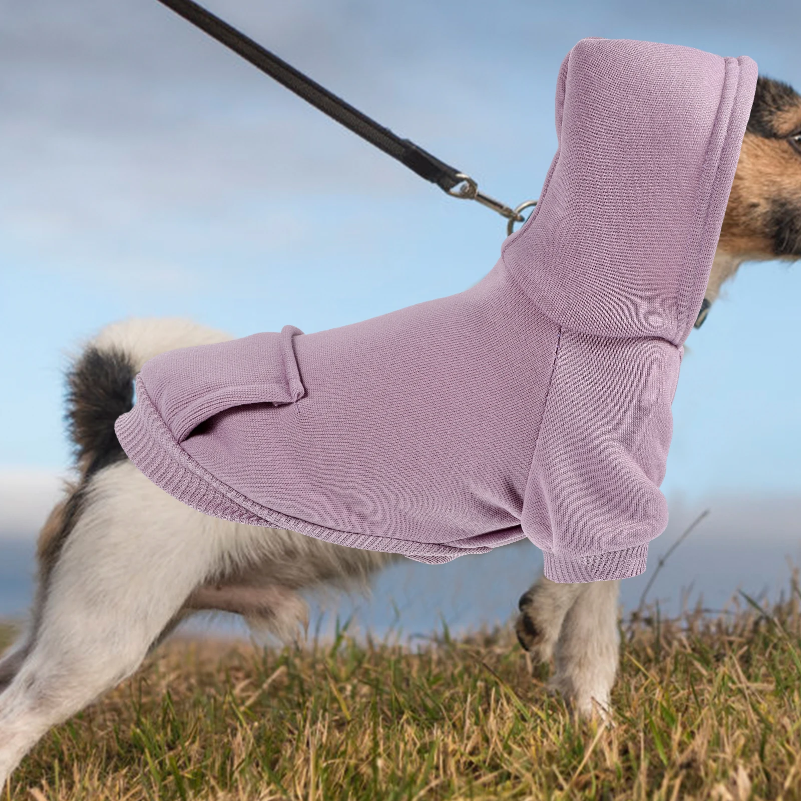 

Dog Hoodie Purple XS Size Soft Cotton Warm Puppy Clothes Autumn Winter Windproof Hoodies Sweatshirts Pet Wear Stylish Doggy