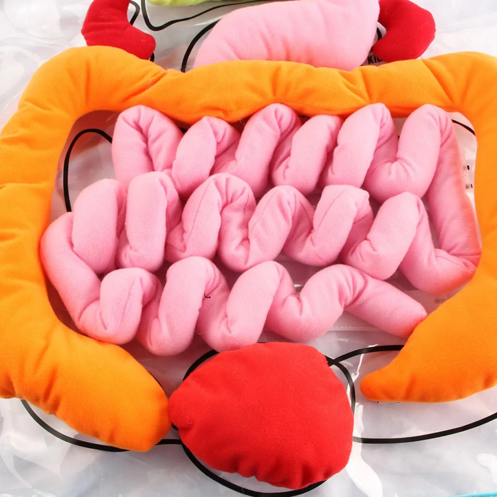 

Organs Apron Insights Teaching Aids Science Physiological Viscera Anatomy Toy Body Parts for Home Preschool Toddlers Children