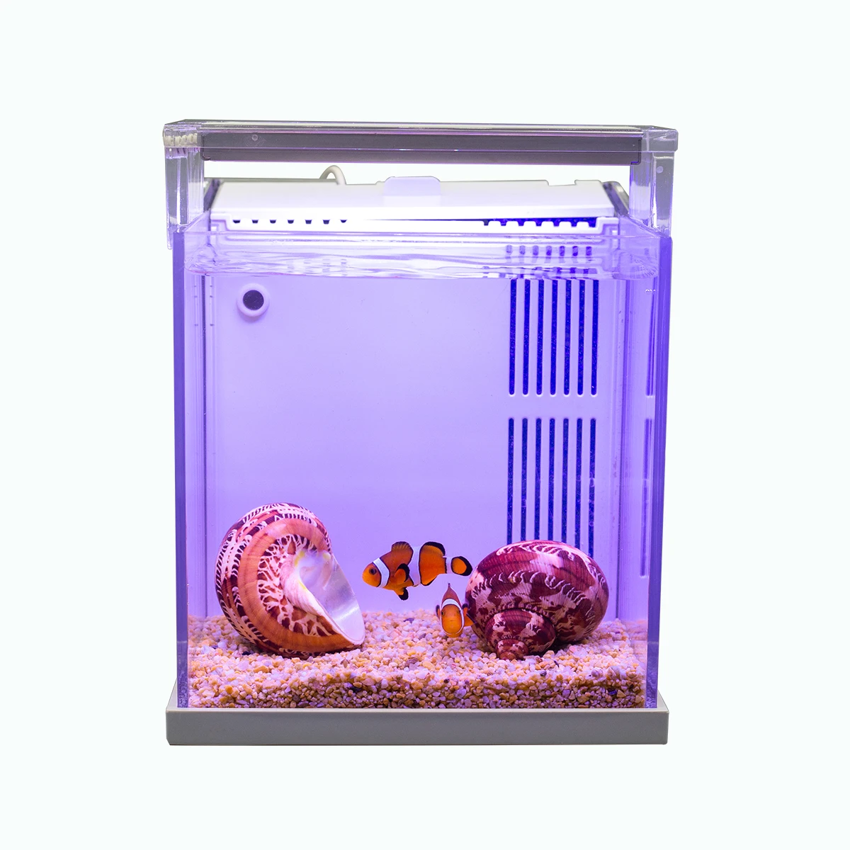 Desktop Mini Acrylic Aquarium Back Filtration System Desktop Decoration Holiday Gifts Plastic Goldfish Betta fish tank