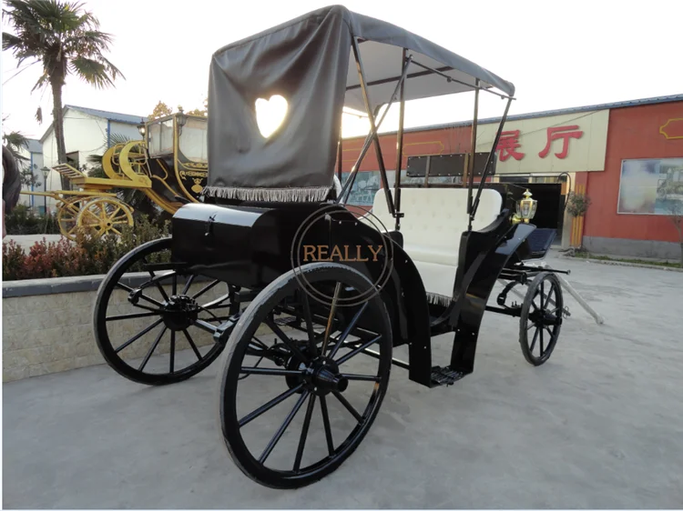 Fabricante de coches de Cenicienta, carro eléctrico para caballos, carro eléctrico de doble hilera para bodas, a la venta