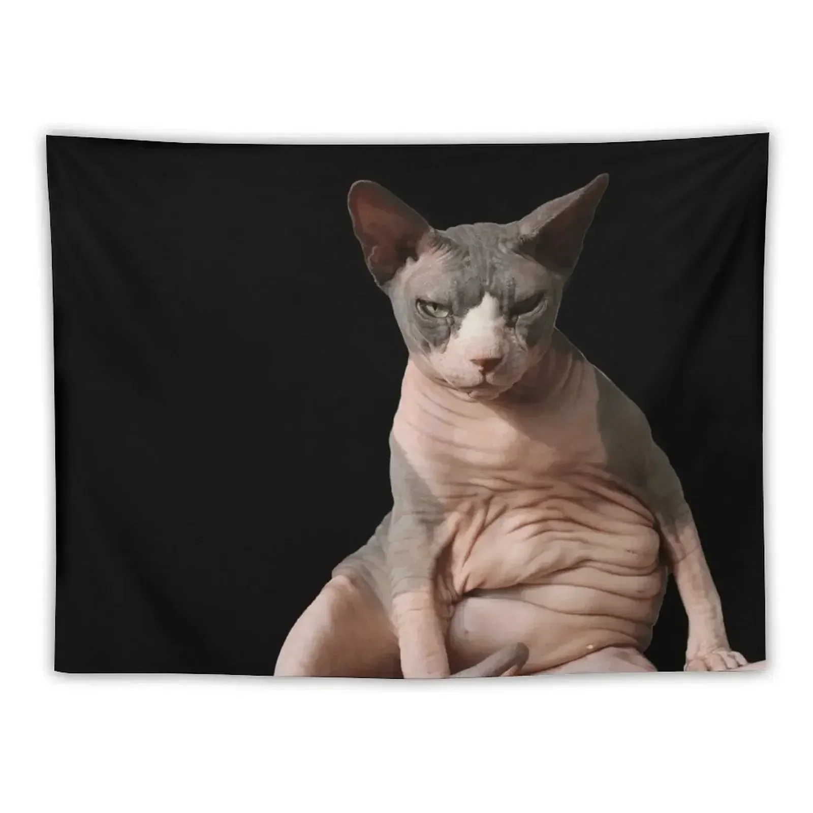 

Giant hairless cat Tapestry Outdoor Decor Room Decor For Girls Wall Carpet Tapestry