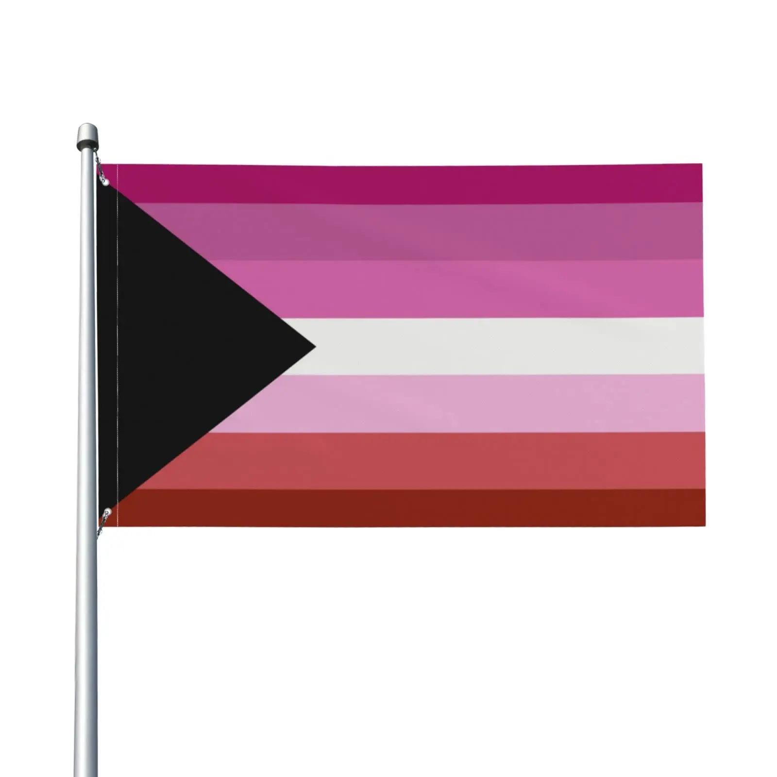 Flagnshow 100% Polyester Demisexual Demi Lesbian Pride Flag