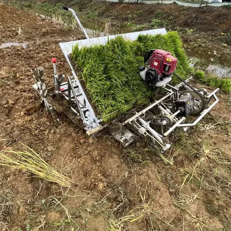 Portable hand-pulled rice transplanter 750 is a small hand-pulled rice transplanter suitable for small plots.