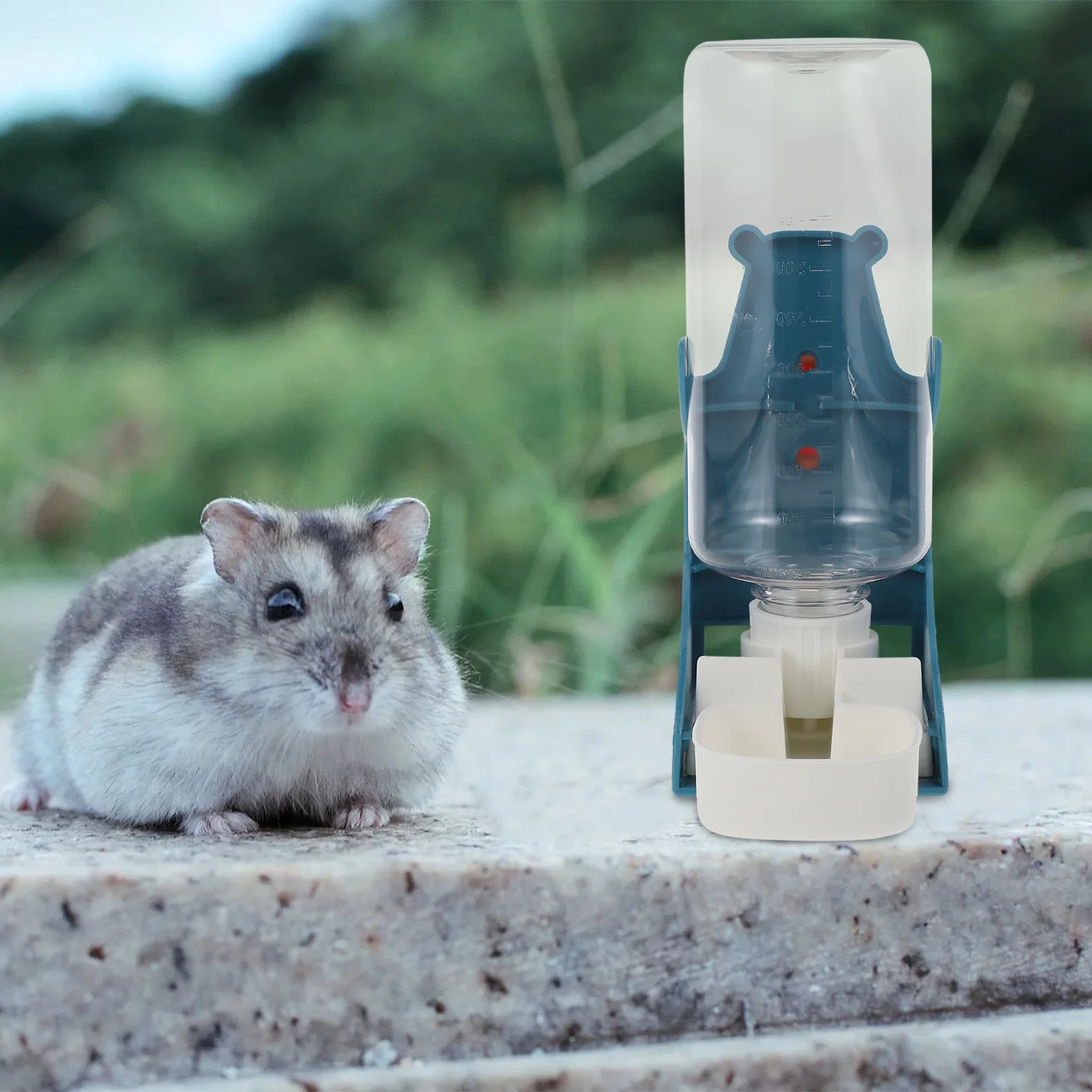 

1Pcs Pet Water Kettle Automatic Feeder Durable PP Material Large Capacity Easy Clean for Small Dogs Cats Rabbits