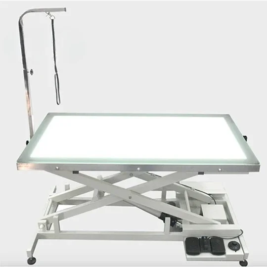 Shernbao FT-829 Groomer Education Use Electric Lifting pet grooming table led lighting