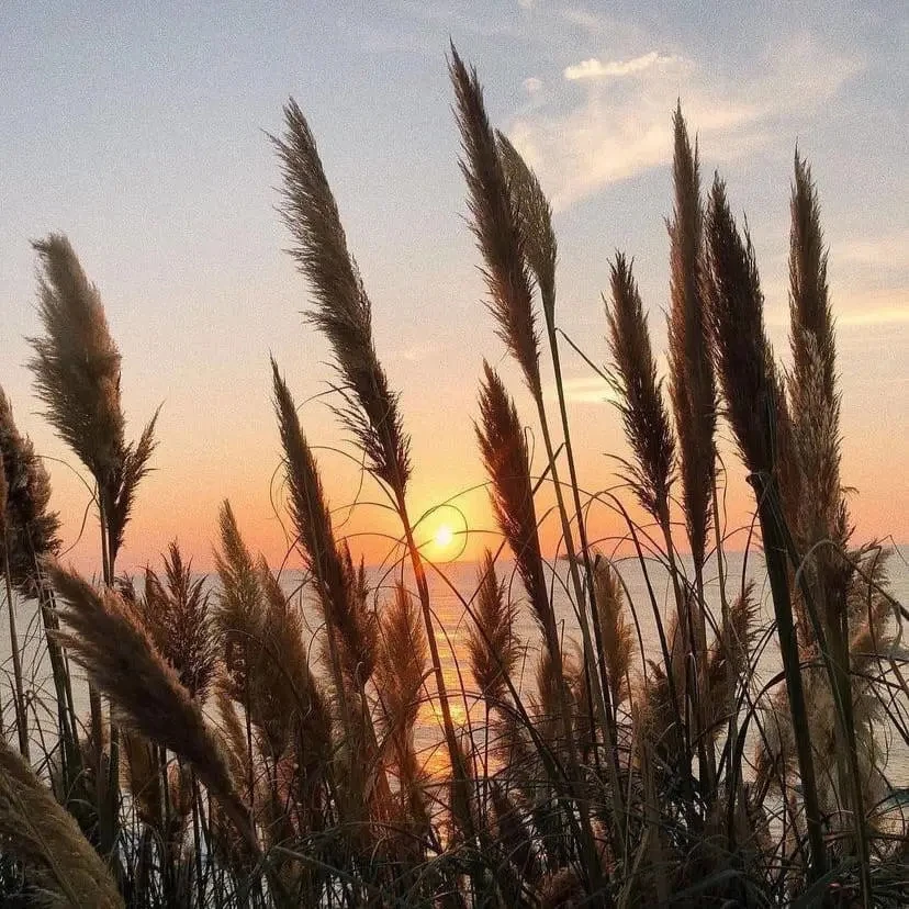 1Set 120MM Metal Shock Absorber for RC Car 1/8 SLEGE Sled Flying God FS Total Length Trxs