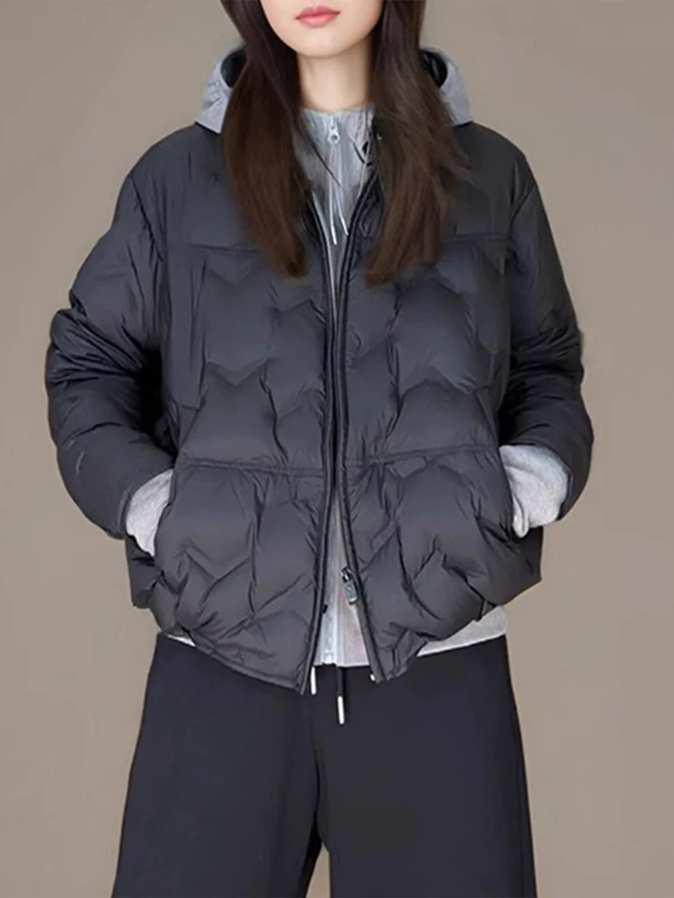 Black Lightweight Cotton Jacket Women's Fashionable Versatile Winter Coat Thin Design Korean Style Straight Cut Long Sleeve
