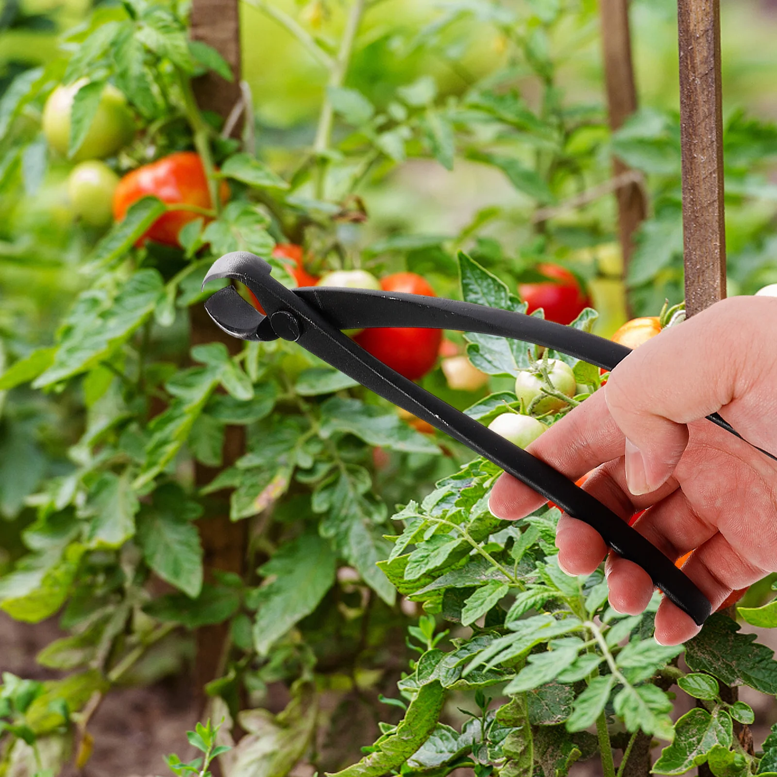 

Carbon Steel Pruning Shears Heavy Duty Wire Cutter for Aluminum Cables Bonsai Branch Trimming Garden Tool Round Stem Clipper