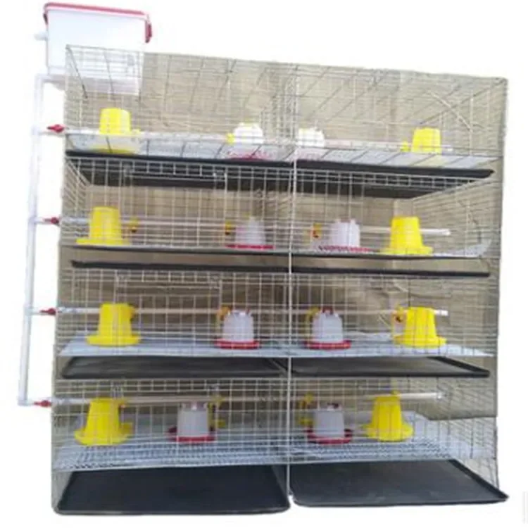 

Agriculture farm chick cage with automatic feeders