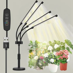 LED Desktop Stand Crescer Luz, Plante luzes para plantas de interior com espectro completo e branco vermelho para Plant Growing Lamp