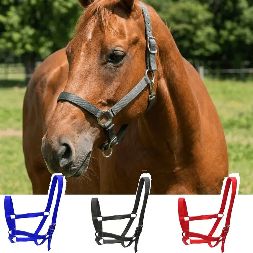 Universal Fit Adjustable Horse Halter Nylon Durable Equestrian Bridle Comfortable Easy To Wear Horse Training Rope Farm