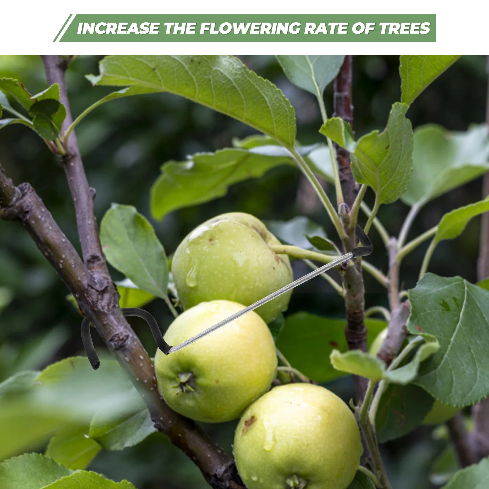 

20 Pcs Branch Twig Bending Clip Spreaders Stem Bender Gardening Tool Fruit Trees Accessories Outdoor Garden Use