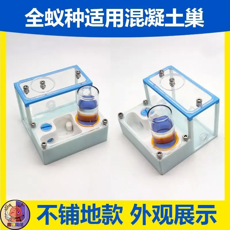 Concrete Nest Ant W… - image