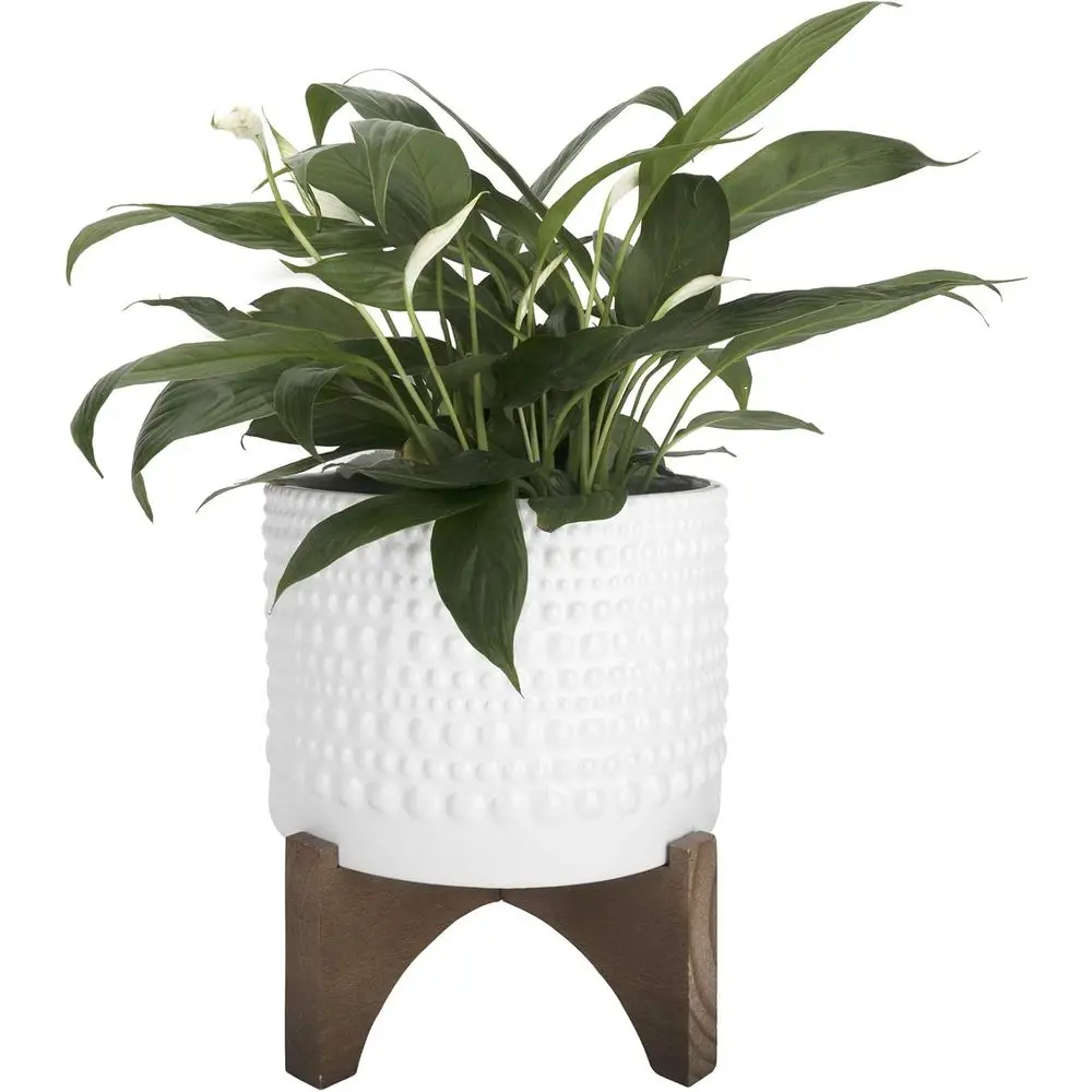 

8 Inch White Cylinder Embossed Hobnail Patterned Flower Plant Pot Indoor