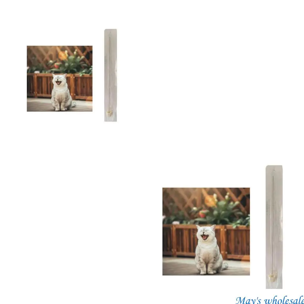 

12PCS Pet Surgical Tool for Cat Urinary Catheterization for Cat Anuresis 448A