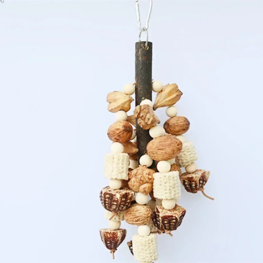 Bird Toys with Pinecones Cuttlefish Bones Beech Wood Nuts Teething Chew Toy For Parrot Parakeets Cockatiels Love Birds Supplies