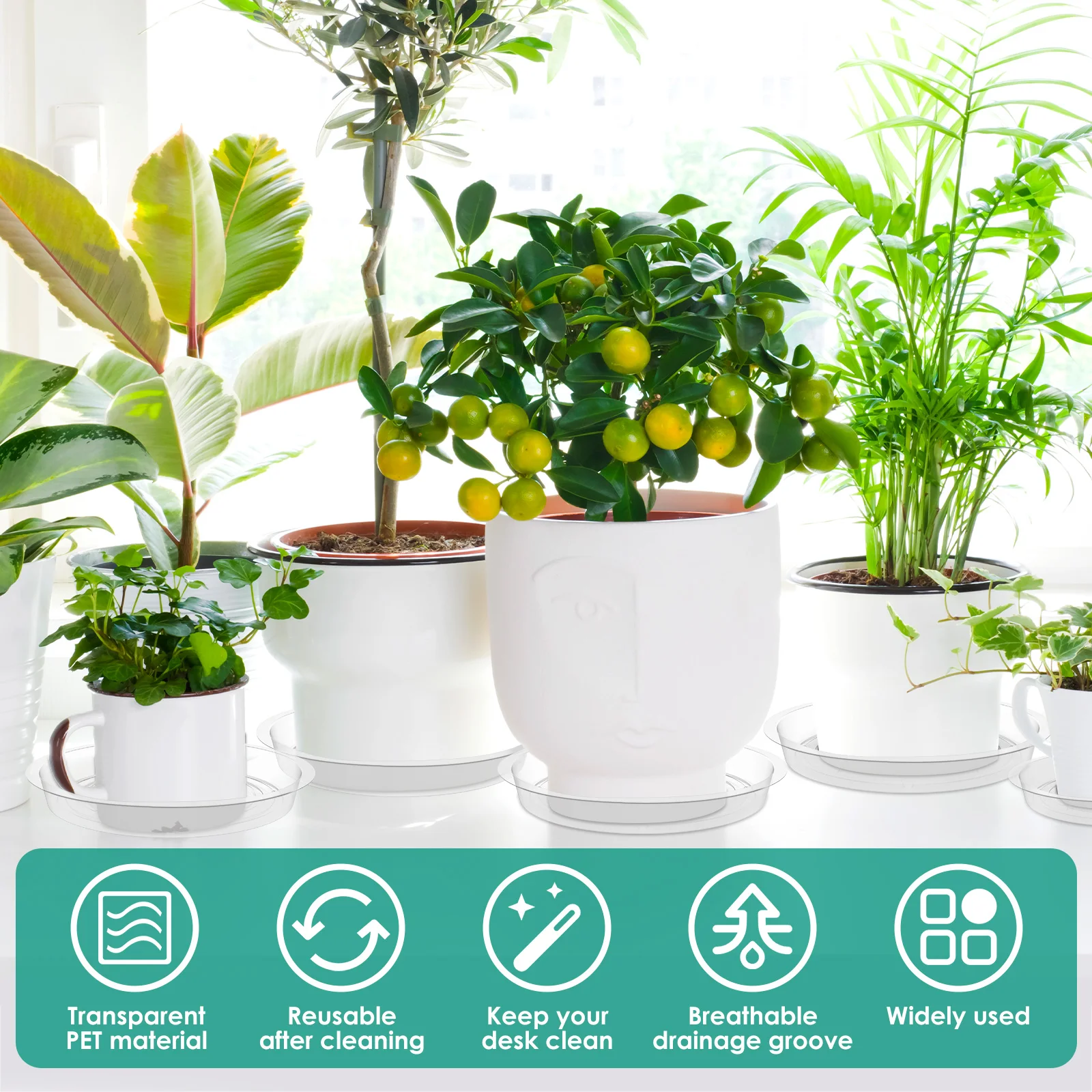 20Pcs Plant Saucers 8inch Indoor Clear Plant Drip Tray Reusable Durable Lightweight Plastic Flower Pot Tray for Outdoor Garden