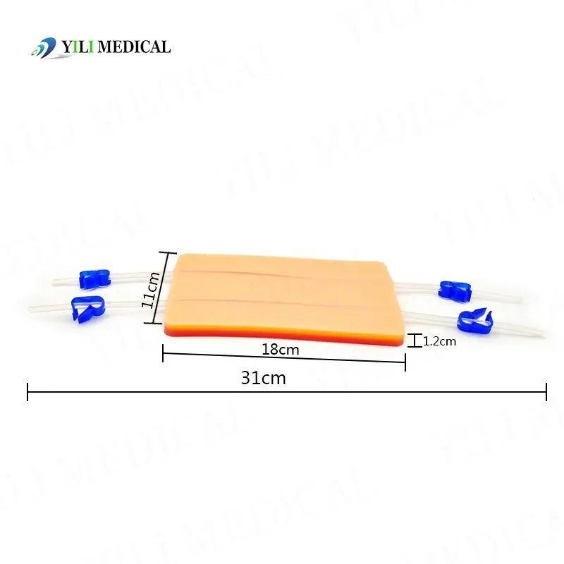 Silica Gel Simulated Intravascular Injection Practice Pad, Skin Exercise Module, Blood Collection Training Model