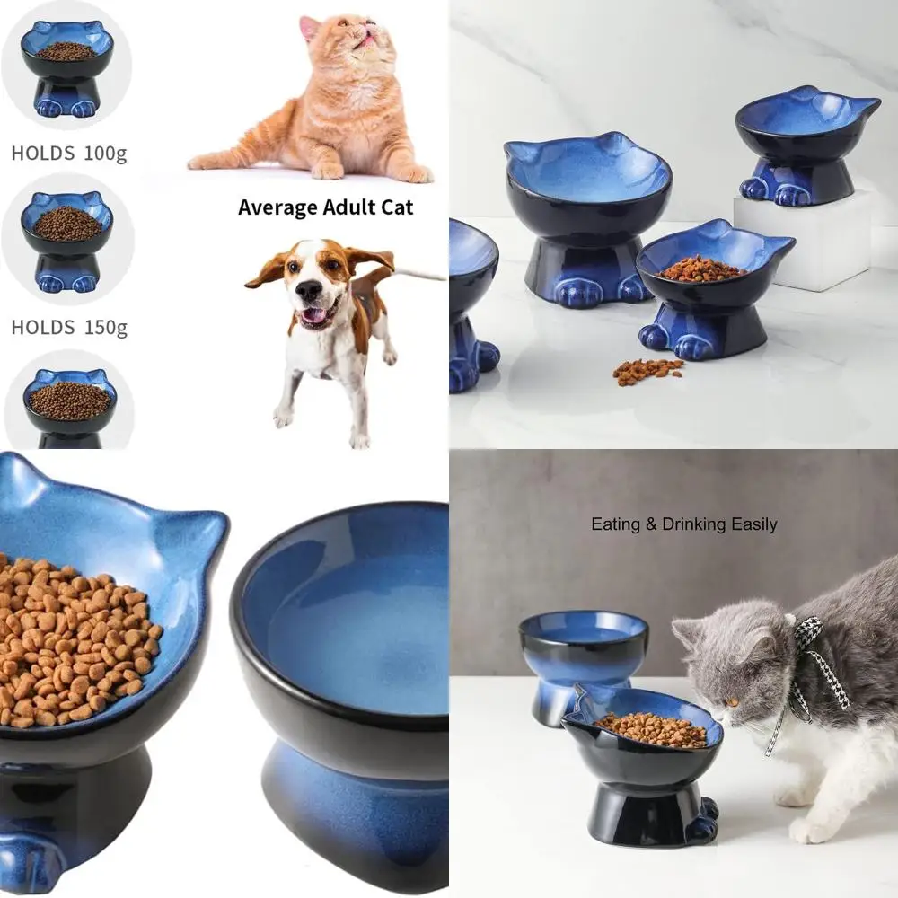 

Набор повышенных мисок для кошек/собак: 6,2-дюймовый керамический набор мисок для кошачьего корма и воды для защиты позвоночника домашних животных — кормление и полив S