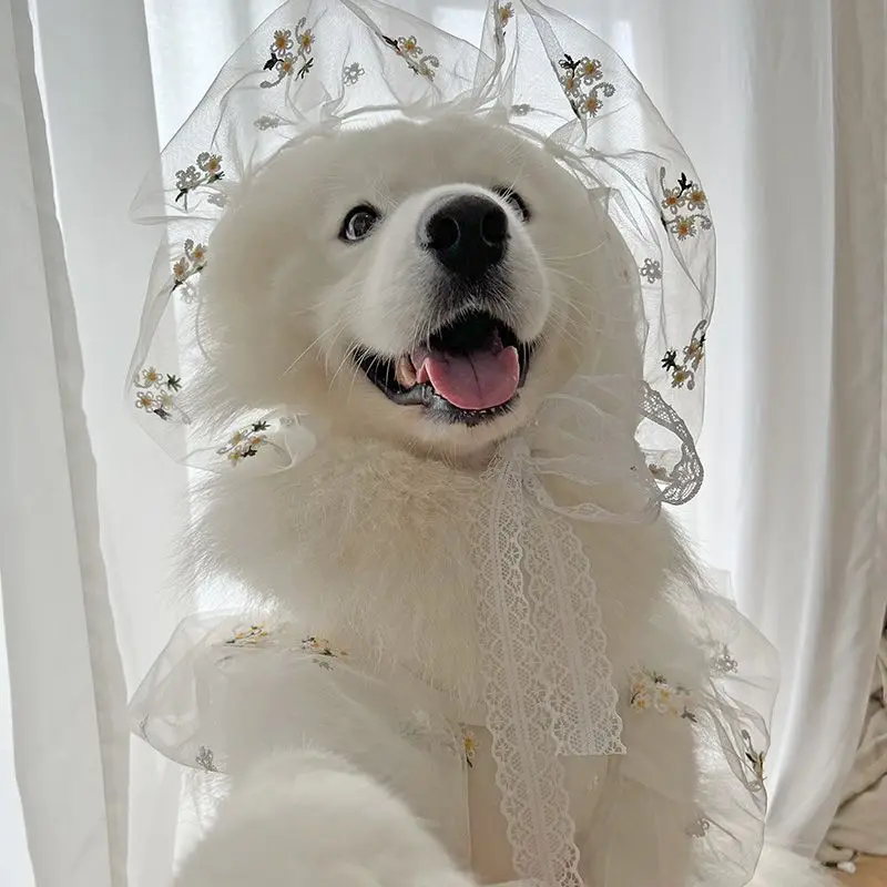 Pet Dog Medium Large Dogs Spring Summer Clothes Thin Wedding Suit Wedding Dress Satsuma Golden Hair Hat Large Dog Dress