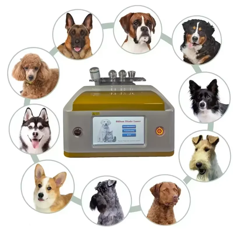 Desain Baru Mesin Terapi Fisik Hewan Fisioterapi Hewan Laser Dioda 980Nm untuk Klinik Hewan