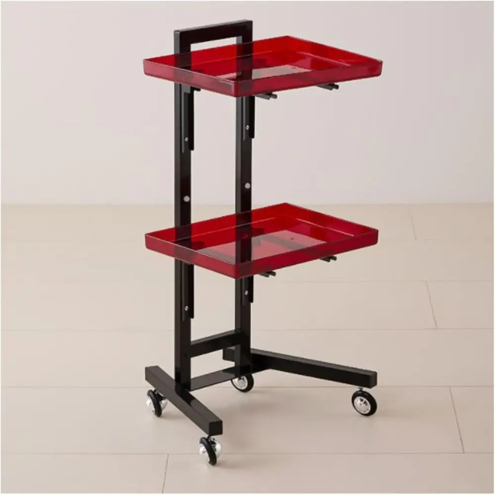 

Двухуровневая тележка для парикмахерских инструментов из нержавеющей стали с 4 колесами - Профессиональный органайзер для фена и косметических инструментов (белый, 85x38x4)