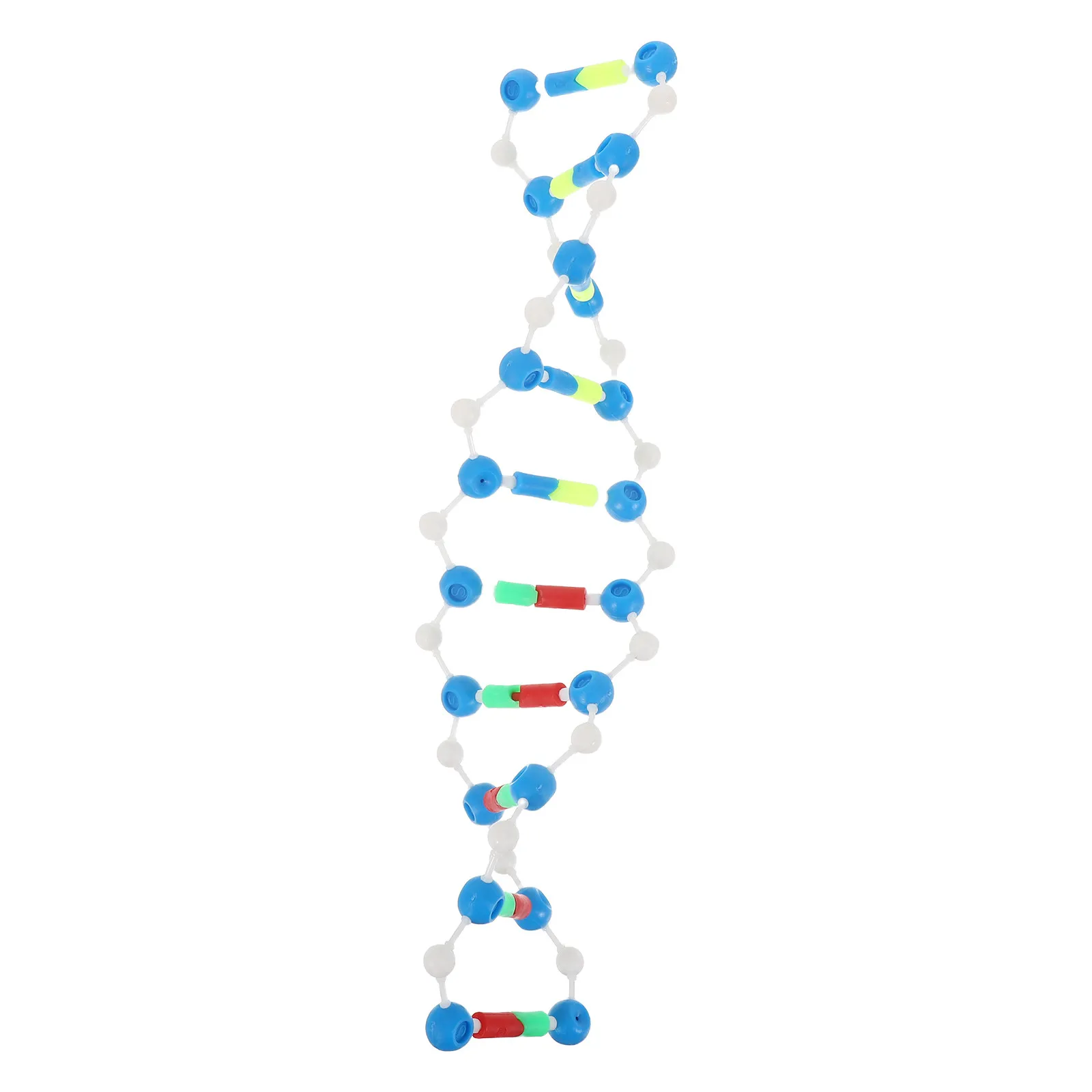 Dna Double Helix Molecular Structure Human Genes Educational Science Teaching Tool Biology Supply Classroom Lab Scientific