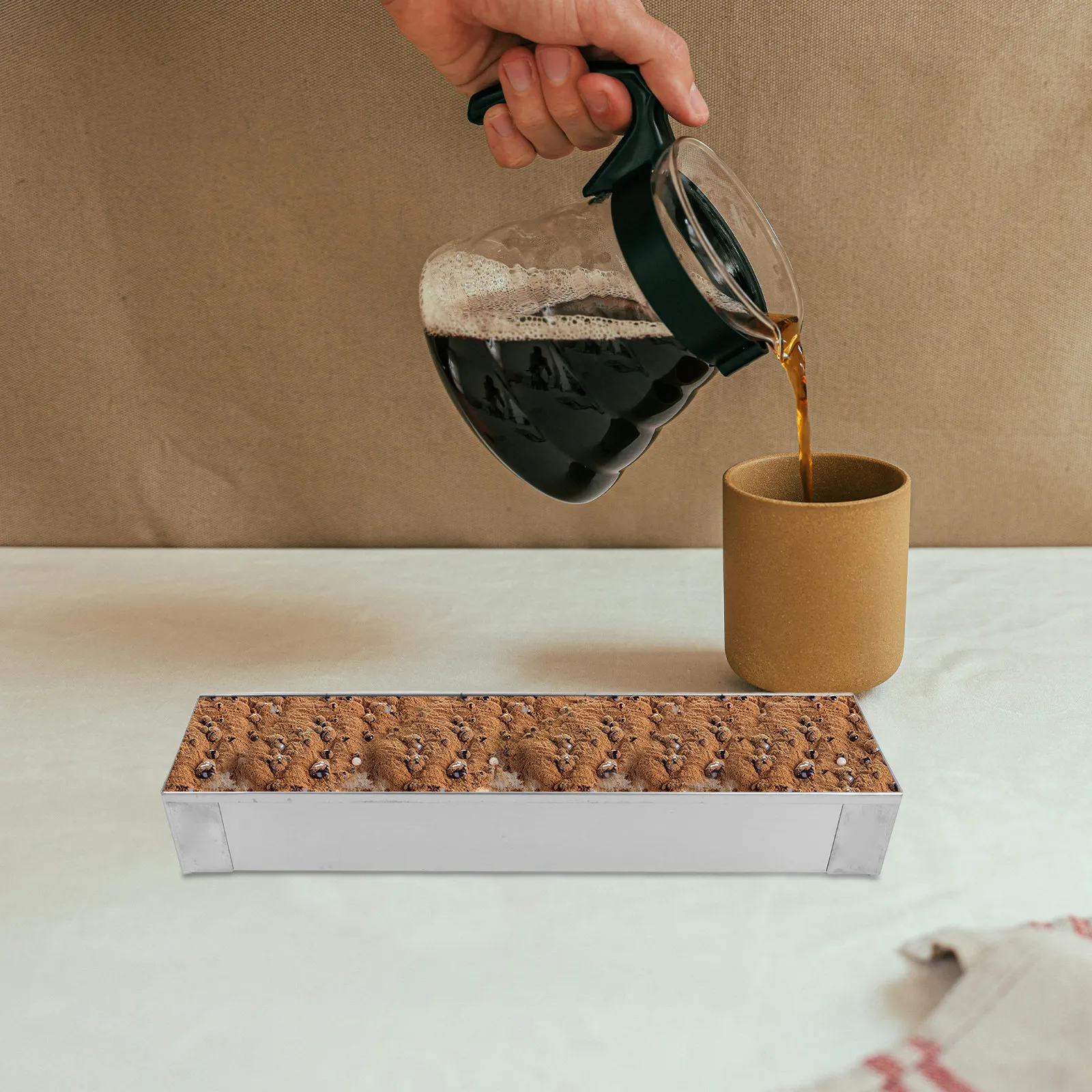 Stainless Steel Rectangular Ca - đánh giá và giá Tray Mold Rectangle
