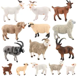 Simulation Animal Sheep Goat Cognitive Model Plastic Handicraft Miniatures School Teaching Tool Home Decoration Toy gift A855