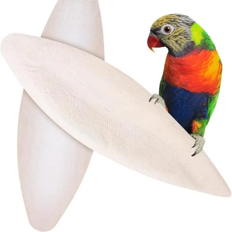1pc Natural Cuttlebone Chew Toy For Parrots Budgies Hamsters Small Pets Teeth Grinding Calcium Supplement Bird Supplies Healthy