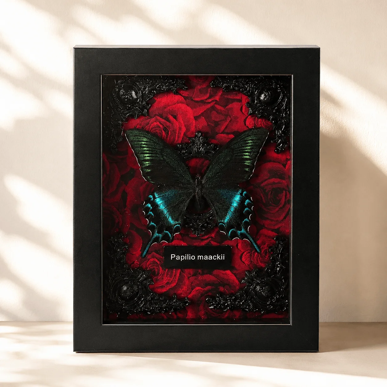 Framed Butterfly Decor, Wall or Desk Display with Gift Box and Bag, Nature Lover Gift