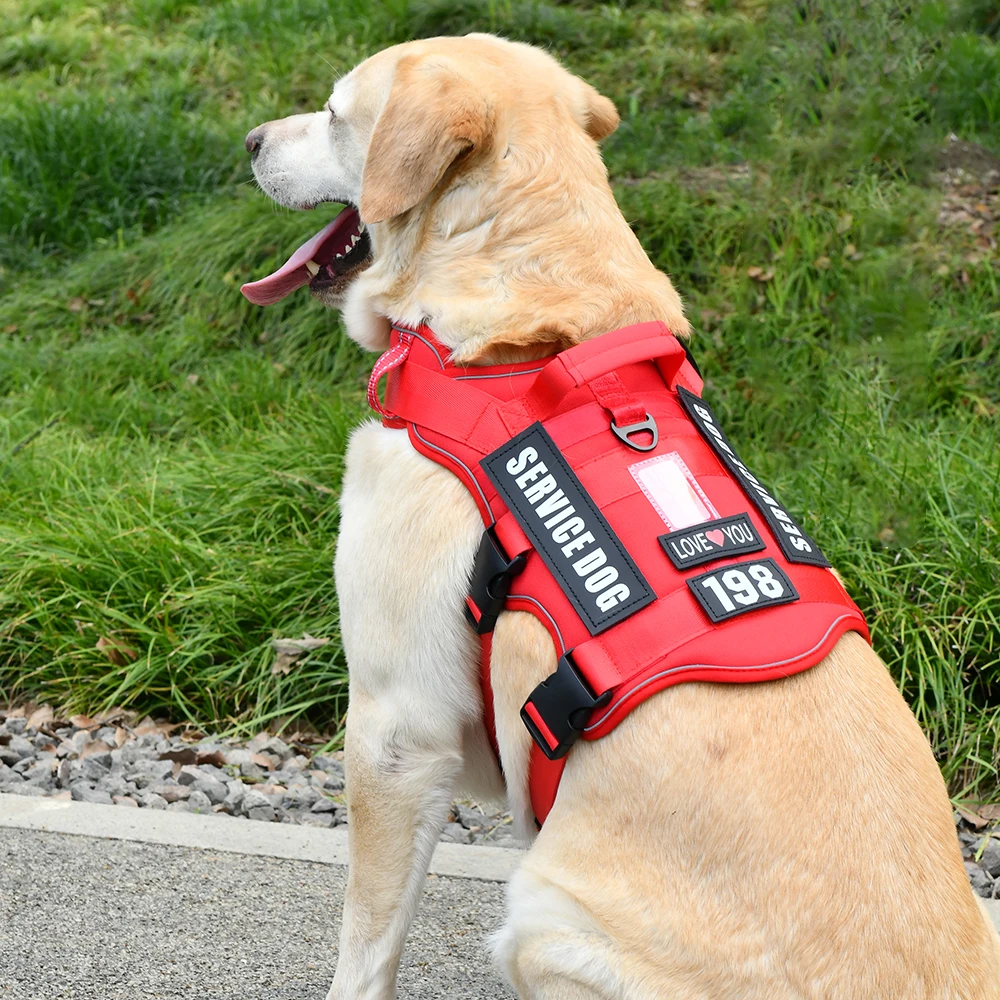 Service-Hundeweste, kein ziehendes Hundegeschirr mit 4 Hundeflicken, reflektierendes Haustiergeschirr mit langlebigem, weich gepolstertem Griff für das Training Med – Detail 7