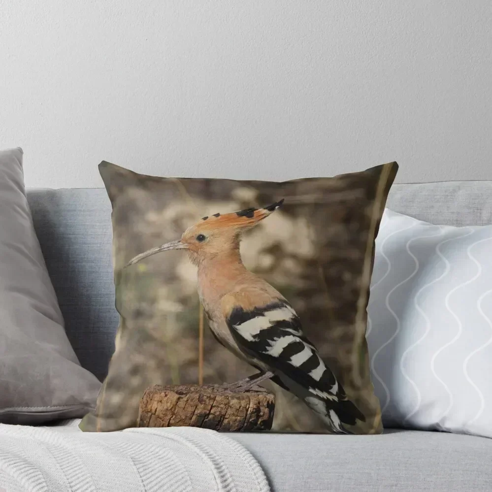 

Upupa epops Throw Pillow New year Decorative Cushions Luxury Pillow Cover Custom Cushion pillow