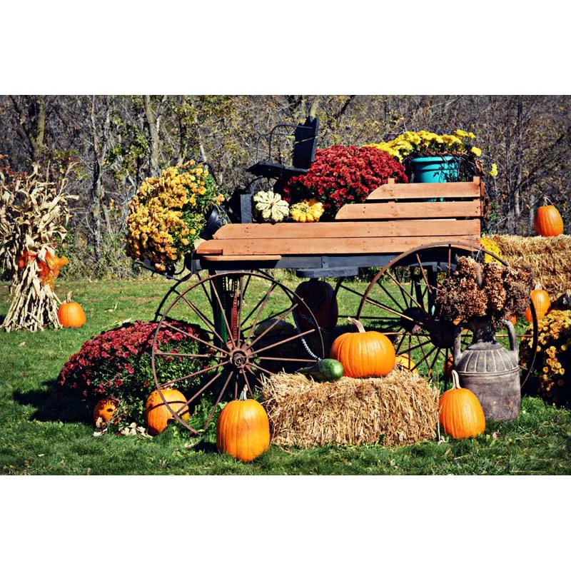 Pastoral Halloween Decoration Party Photo Background Outdoor Farmland Kids photography Backdrops for photo studio fondo props