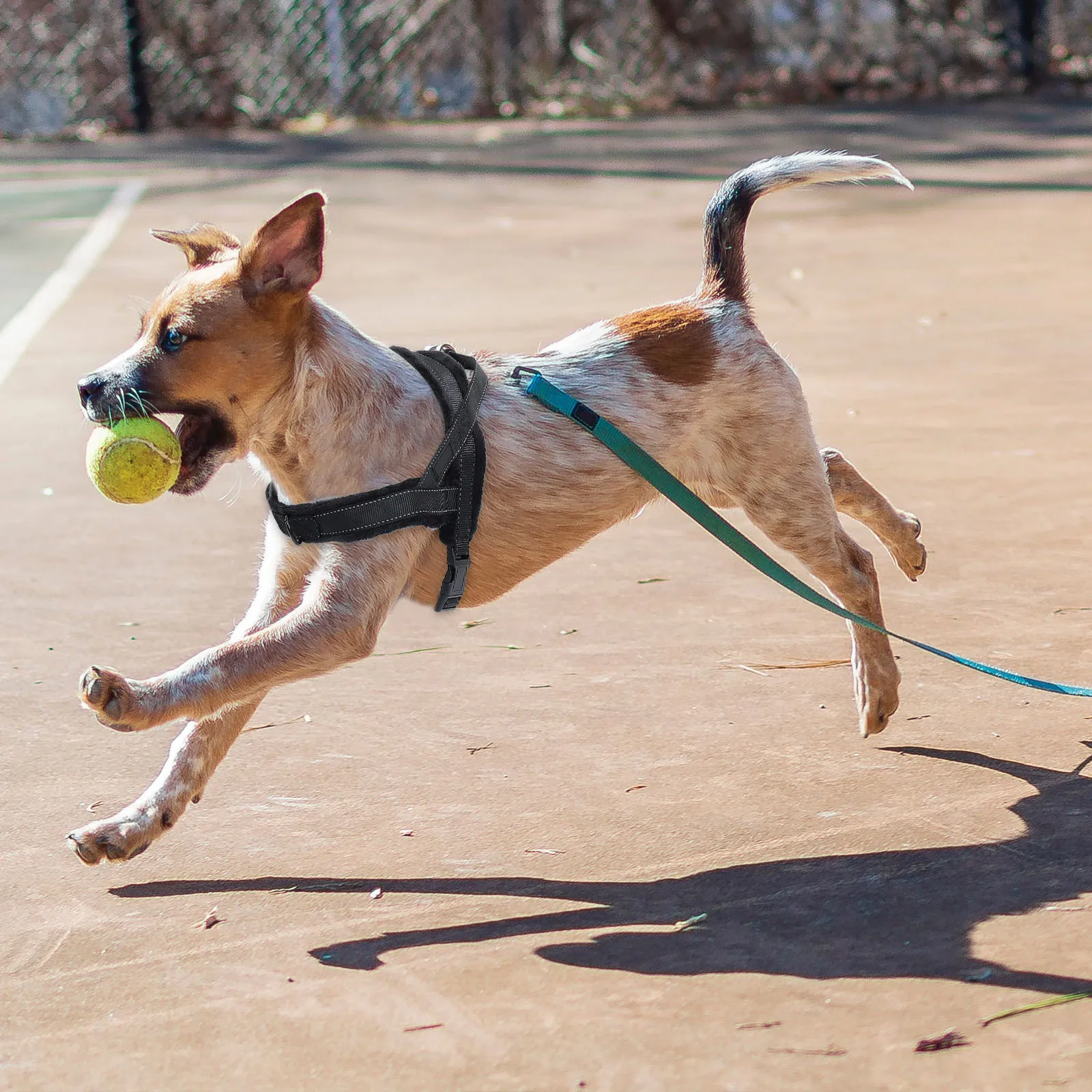 

1Pcs Nylon Dog Harness Soft Comfortable Vest Durable Pet Chest Strap Breathable Lightweight Outdoor Use Dog Harness