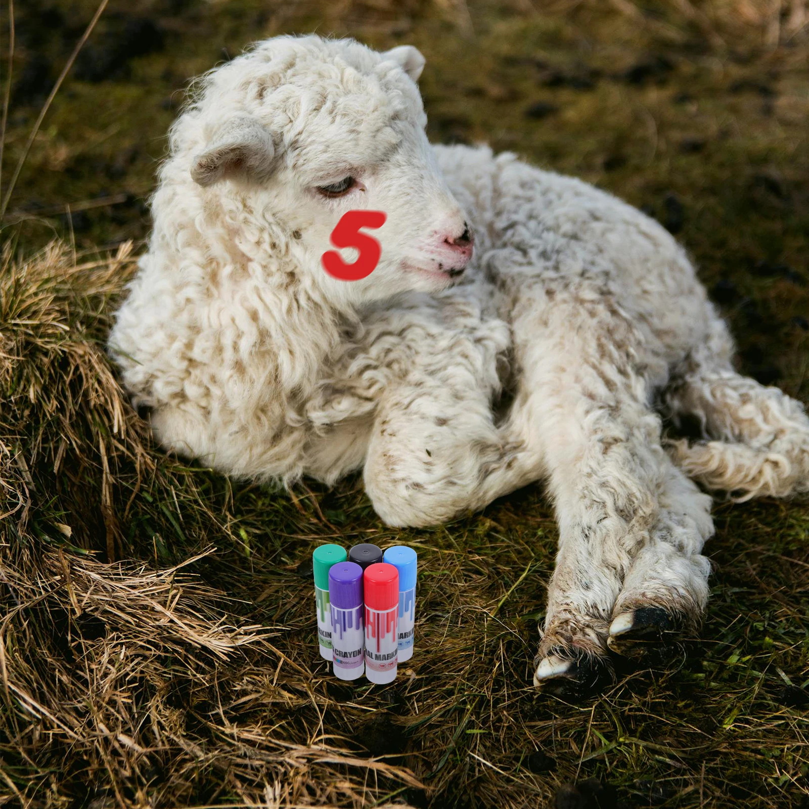 

5pcs Livestock Marking Crayons Pig Cattle Sheep Cow Identification Marker Animal Farm Water Resistant