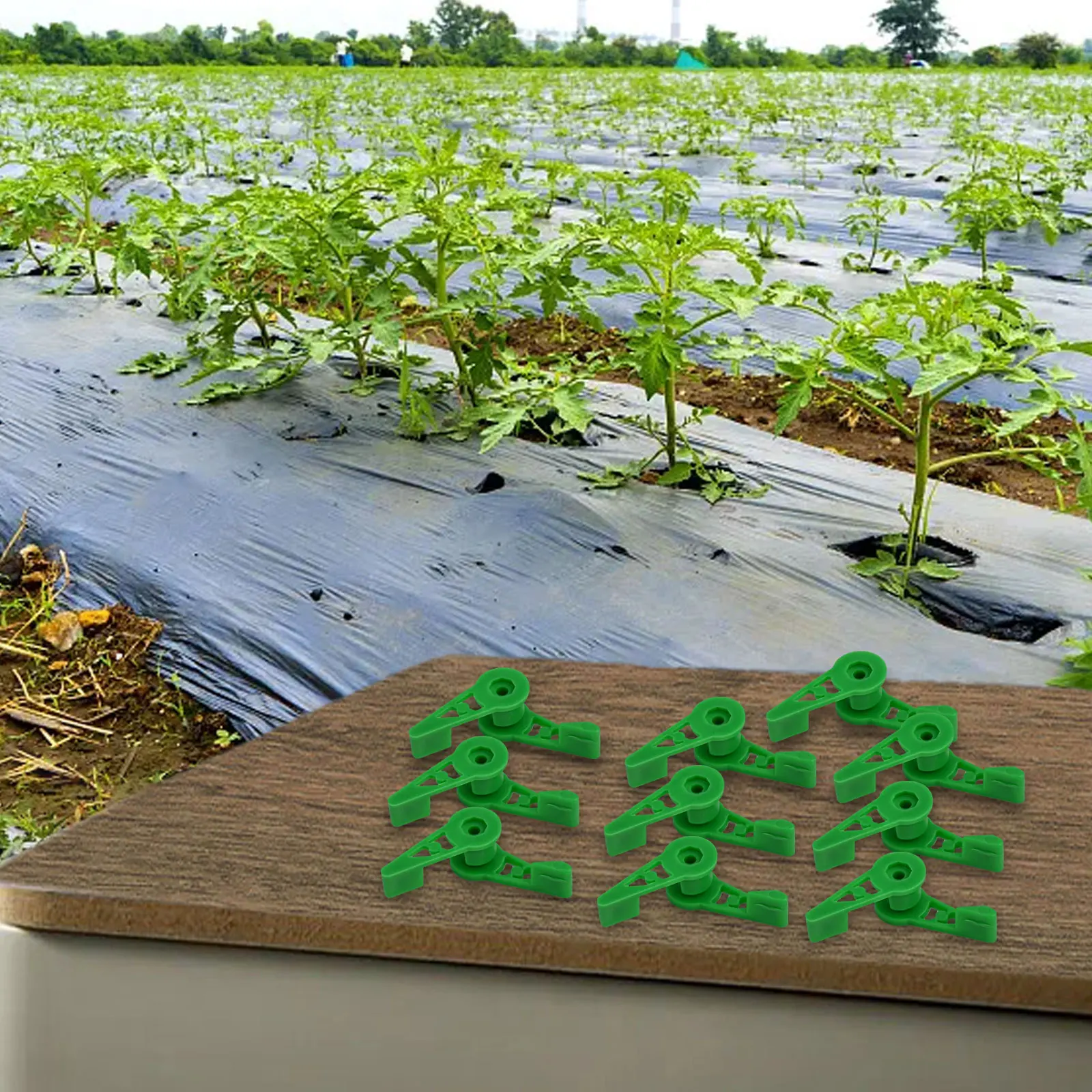 Set of 10 Rotatable Plant Clip for Low Stress Training LST to Improve Airflow Light Exposure for Garden Plants