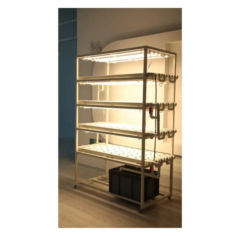 Recommend Multilevel Plant Racks Hydroponic Vertical System For Indoor Factory Farm Growing Vegetables