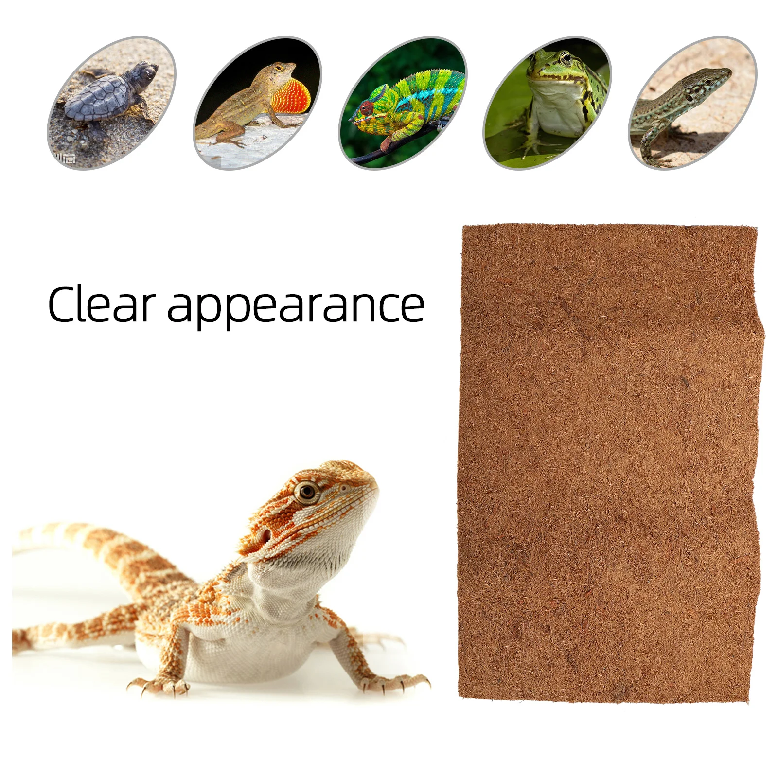 

Natural Coconut Fiber Bedding Terrarium Supplies Strong Filter Clean Sanitary Permeability Easy Care Anti Pet Mat