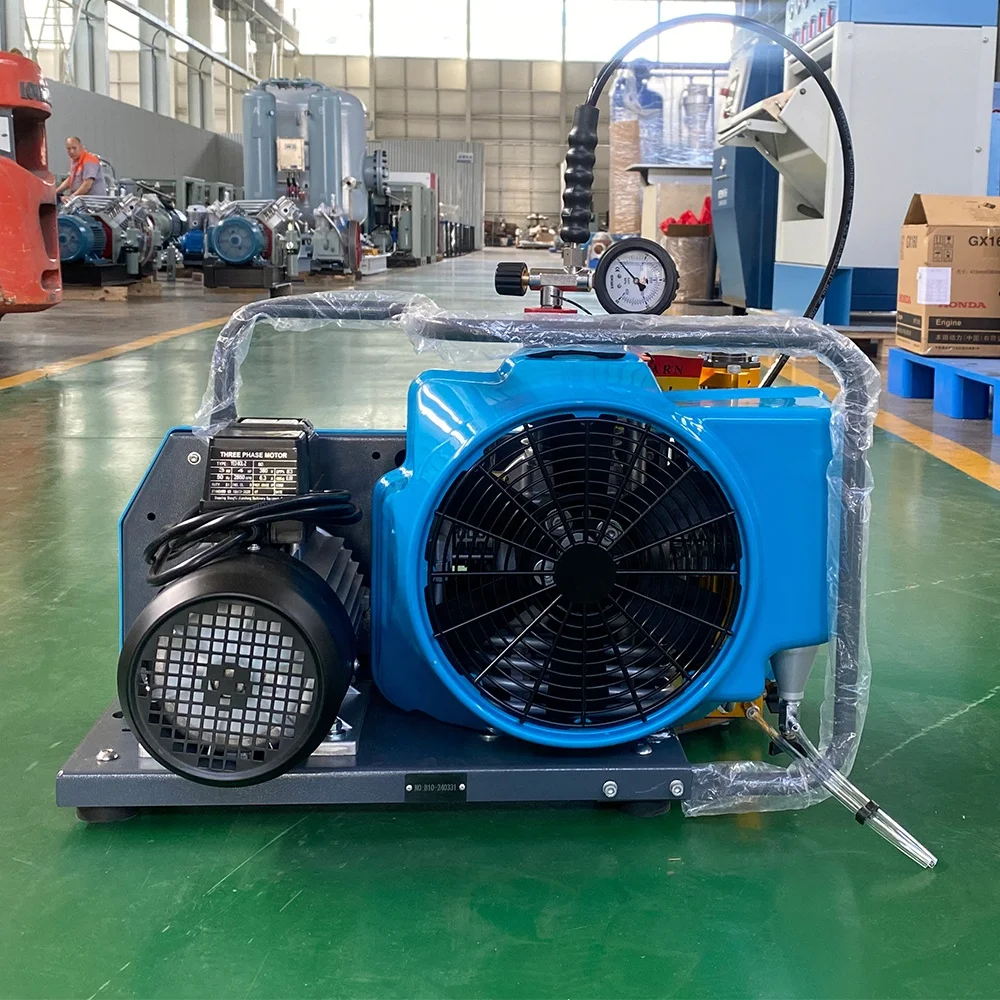 High Pressure 150-380bar 5.5kw 7.5kw Diving Compressor for Filling Diving Bottles Made in China Offer OEM for Hot Sale