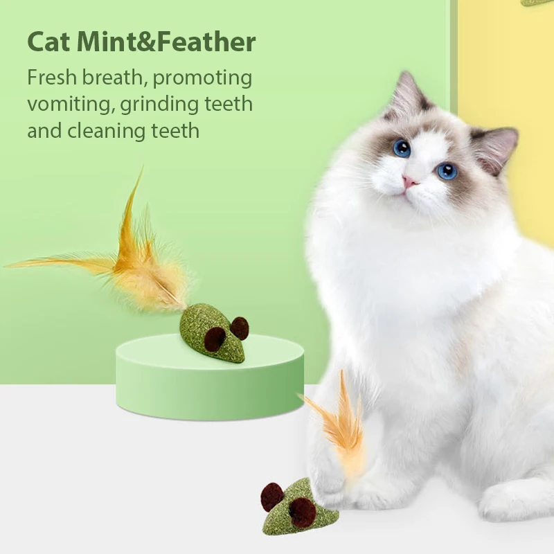 Cartoons Edible Safety Healthy Mouse Shaped Chasing Game Catnip Mint Treat Toy Cleaning Teeth Pet Toy Gift Supplies