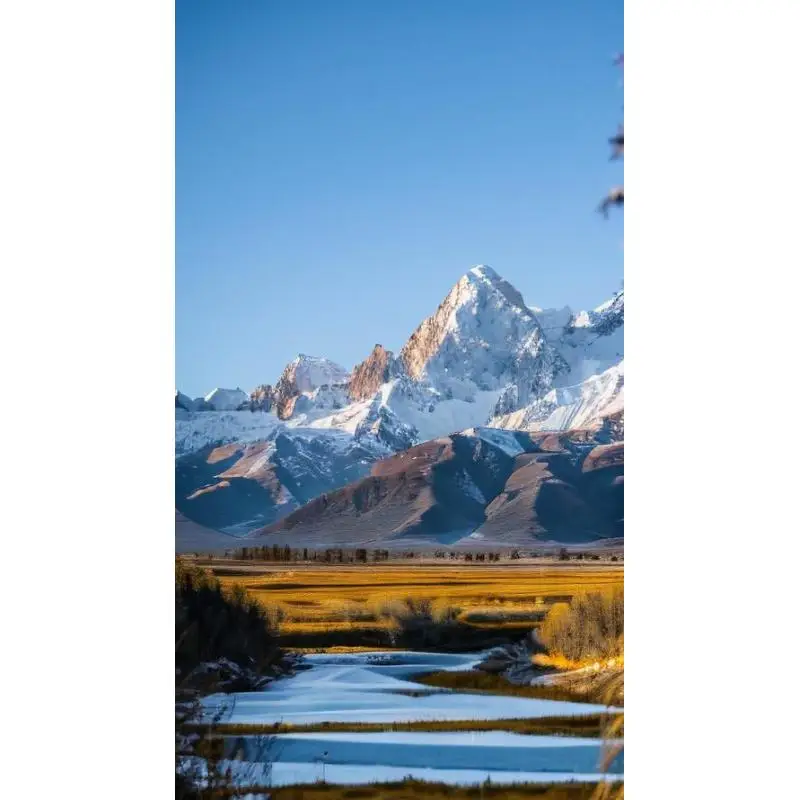 

Laptop Lap Desk with Handle Portable Laptop Desk Multifunctional Laptop Desk for 13-15Inch Laptops