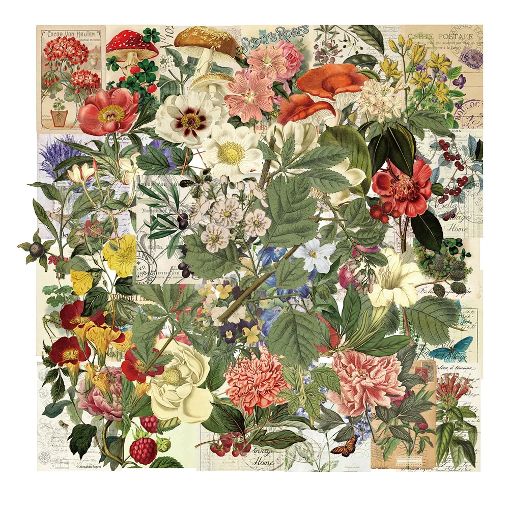 

50Pcs Transparent Cartoon Vintage Plant Stickers Pack for Waterproof PET Decoration Guitar Notebook Scrapbook Stickers