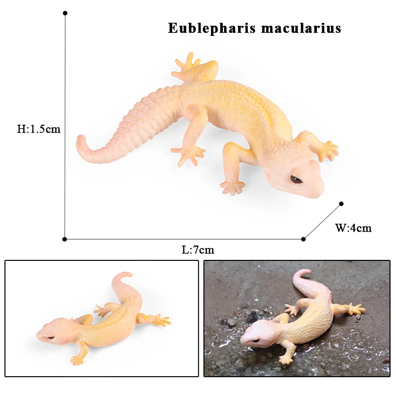 Simulation Wild Reptile Animals Action Gecko Figures Lizard Model Figurines Kids Education Congnitive Scene Decoration Toy