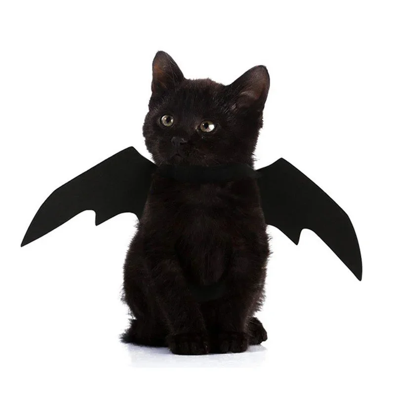 Costume d'Halloween pour Petits Chiens et Chats, Ailes de Chauve-Souris, Vampire, Accessoires Mignons, Décorations