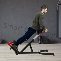 Roman Chair Back Extension Bench Abdominal Exercise Waist Extension Workout Buttocks Machine Sit Up Gym Bench